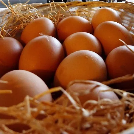 Restaurant Des Grottes Du Pech Merle 2*